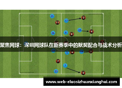 聚焦网球：深圳网球队在新赛季中的默契配合与战术分析