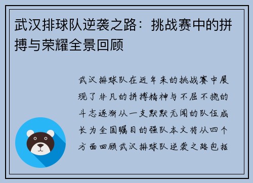 武汉排球队逆袭之路：挑战赛中的拼搏与荣耀全景回顾
