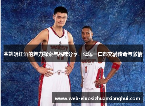 金姚明红酒的魅力探索与品味分享，让每一口都充满传奇与激情