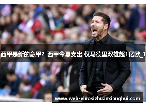 西甲是新的意甲？西甲今夏支出 仅马德里双雄超1亿欧_1